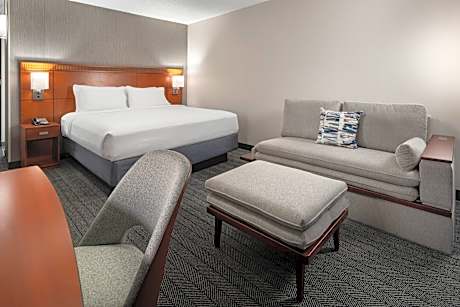 King Room with Sofa Bed and Roll-in Shower - Mobility and Hearing Accessible