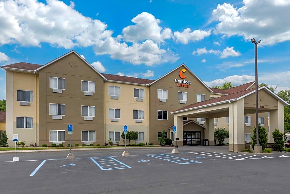 Comfort Suites Auburn near I-69