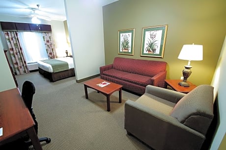 SUITE-1 KING BED,NSMK,42LCTV,SOFBED,WIFI,MICRFG,COFMKR,FULL BREAKFAST