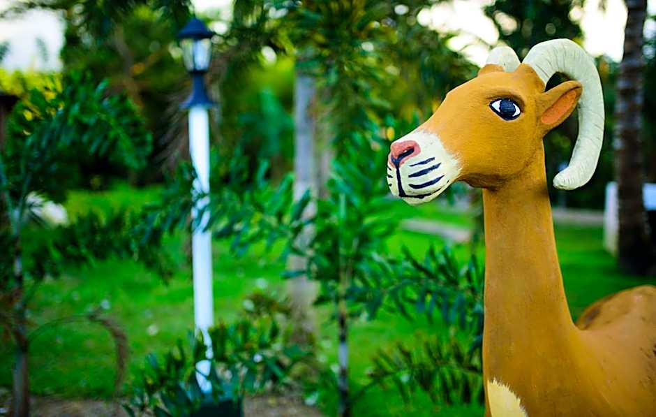 Freedom Eco Adventure Park powered by Cocotel