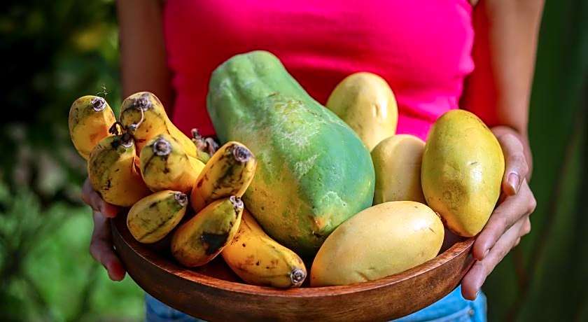 Happy Coconut Camiguin