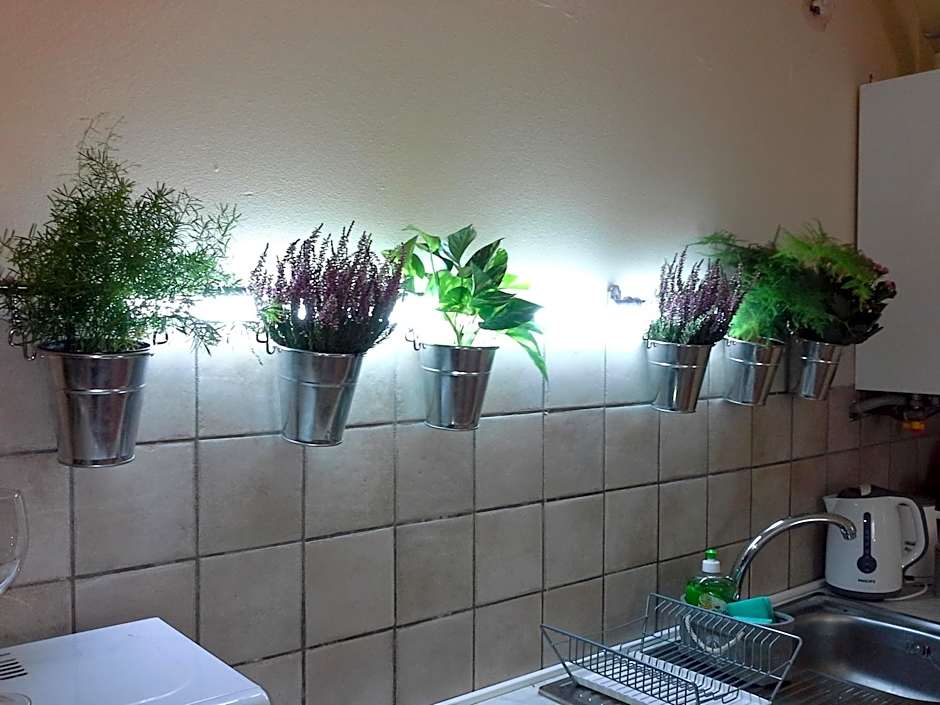 B&B Happiness in the Country