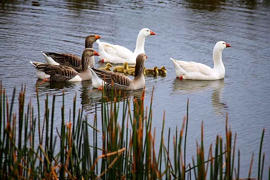 Silver Ridge Retreat