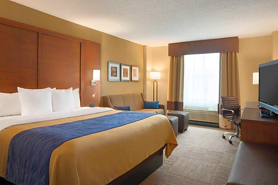 Comfort Inn & Suites Presidential