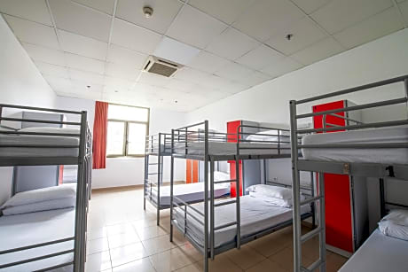 12-Bed Private Dormitory Room with Shared Bathroom