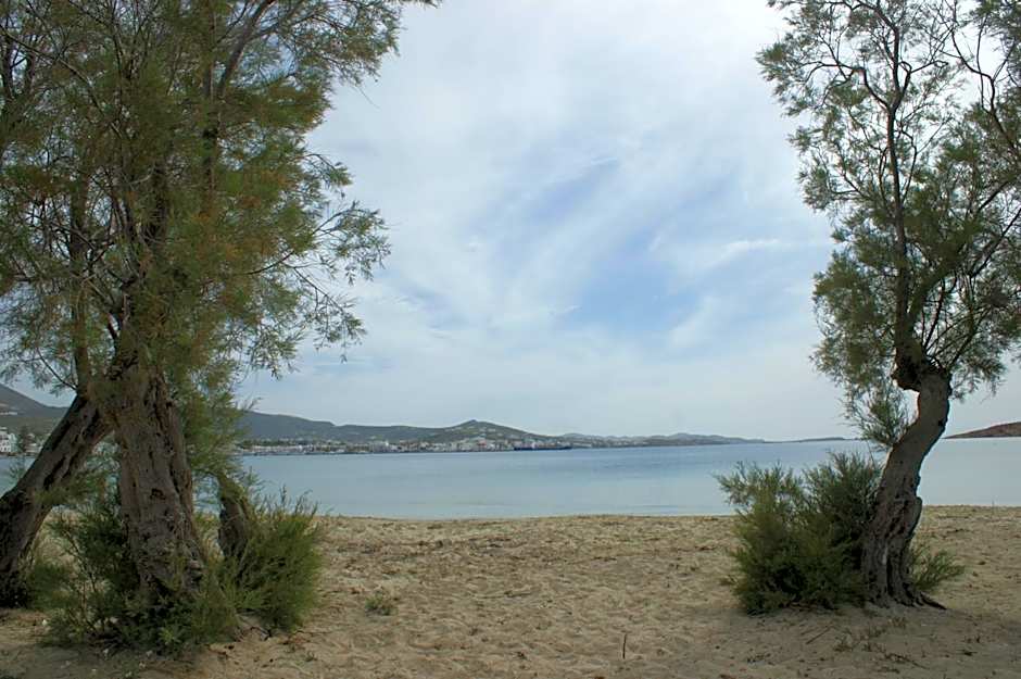 Hotel Eleftheria
