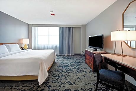 premium suite, 1 king bed (wellness, in-room air purification)