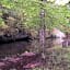 Moulin de rouchillou