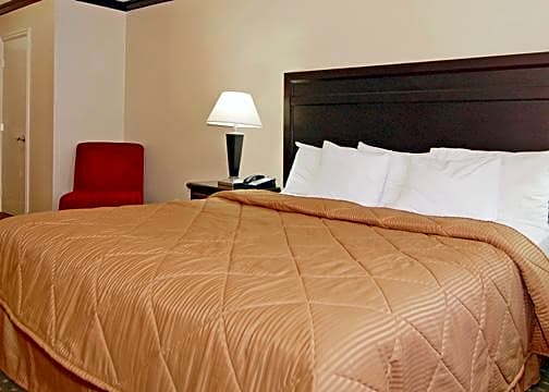 Comfort Inn Near Universal Studios