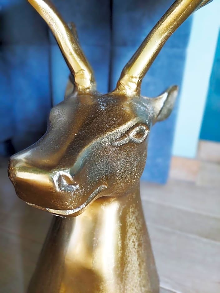 Cha Cha de Loup Luxe B&B - Vakantiewoning
