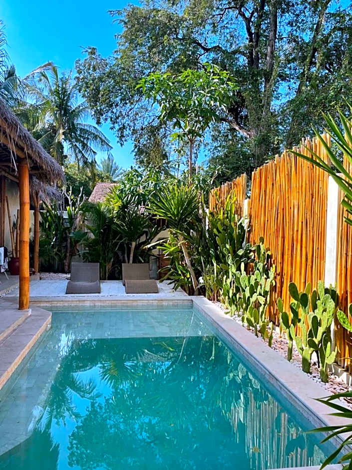 Tipsea Turtle Gili Air