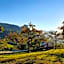 Hotel & Alpengasthof Pinzgerhof