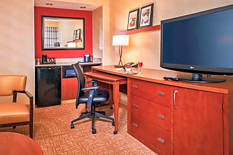 King Suite with Sofa Bed