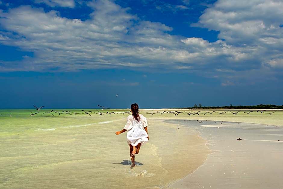 Ser Casasandra Boutique Hotel                                                                    