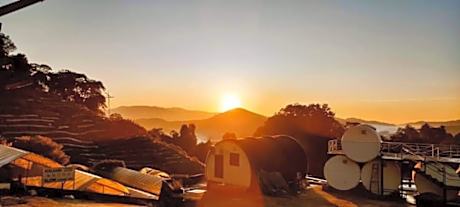 Cameron Highlands Blueberry Earth House