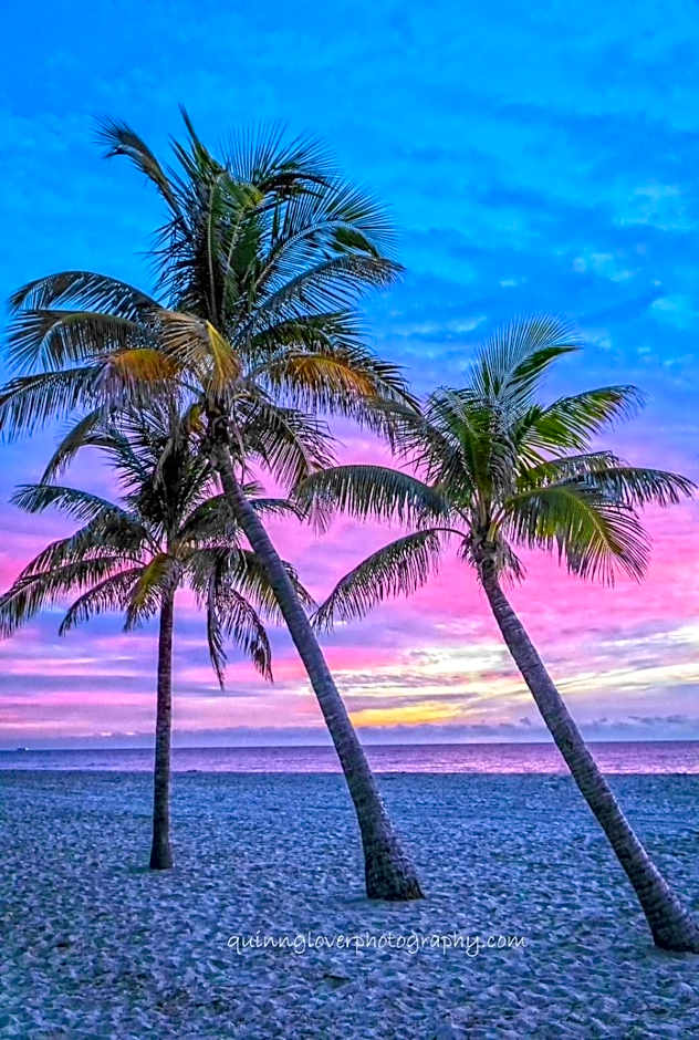 Welcome To The Paradise
