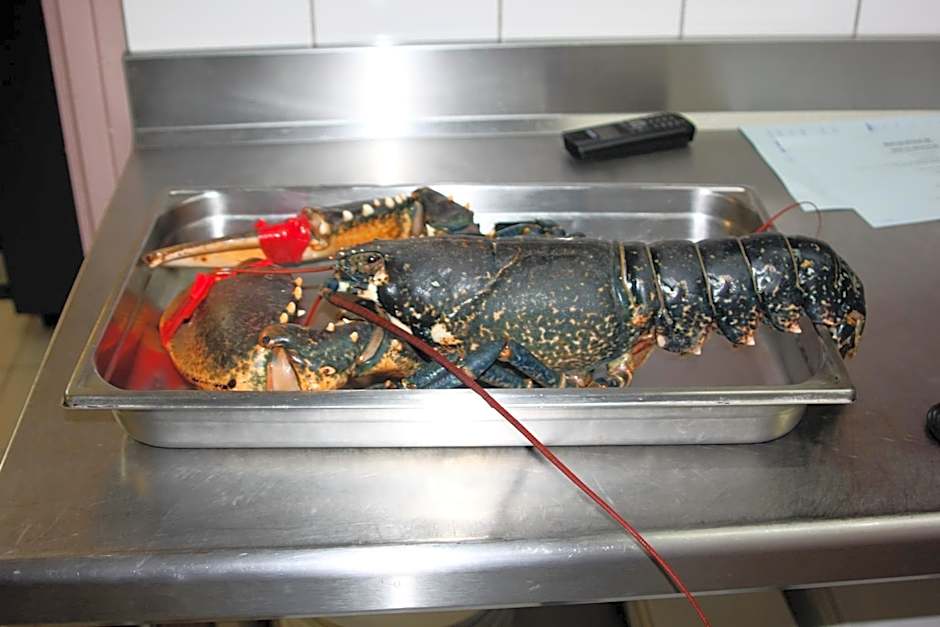 Hôtel L'Hortensia & Appartement & Restaurant