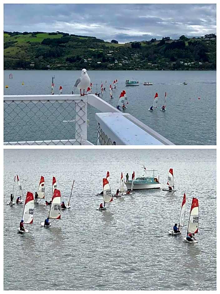 Harbourview Stadium Hotel