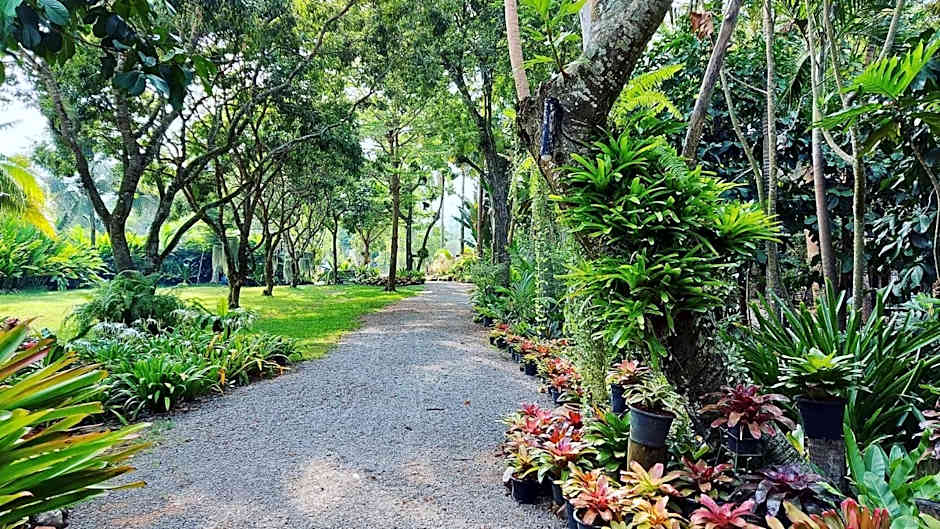 River CoCo @ Amphawa