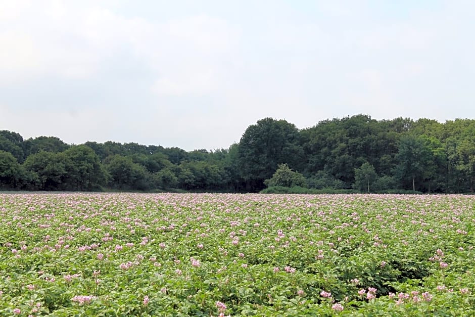 Buitengewoon Overnachten