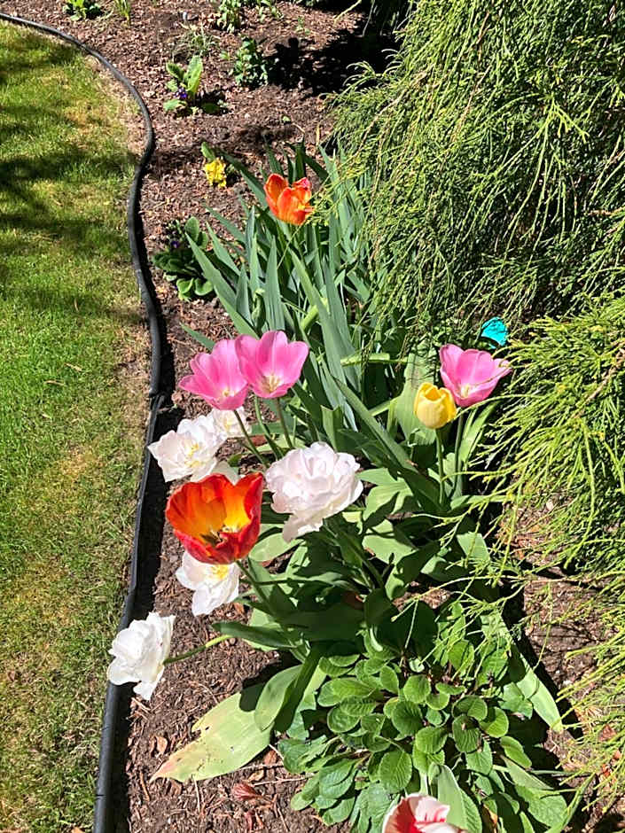 Kye Bay BnB - A Place to Breathe