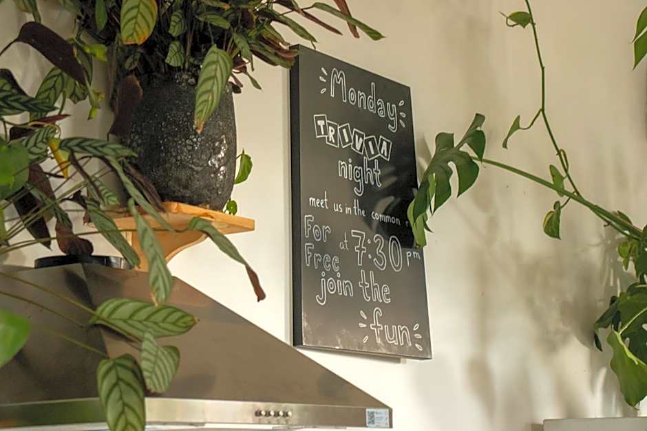 Cinnamon Sally Backpackers Hostel