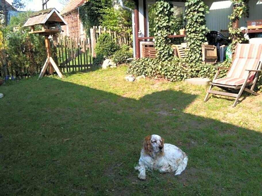 2 BR beautyful vacation home / Ferienhaus Brunsberg