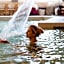 Hotel & Terme Bagni di Lucca