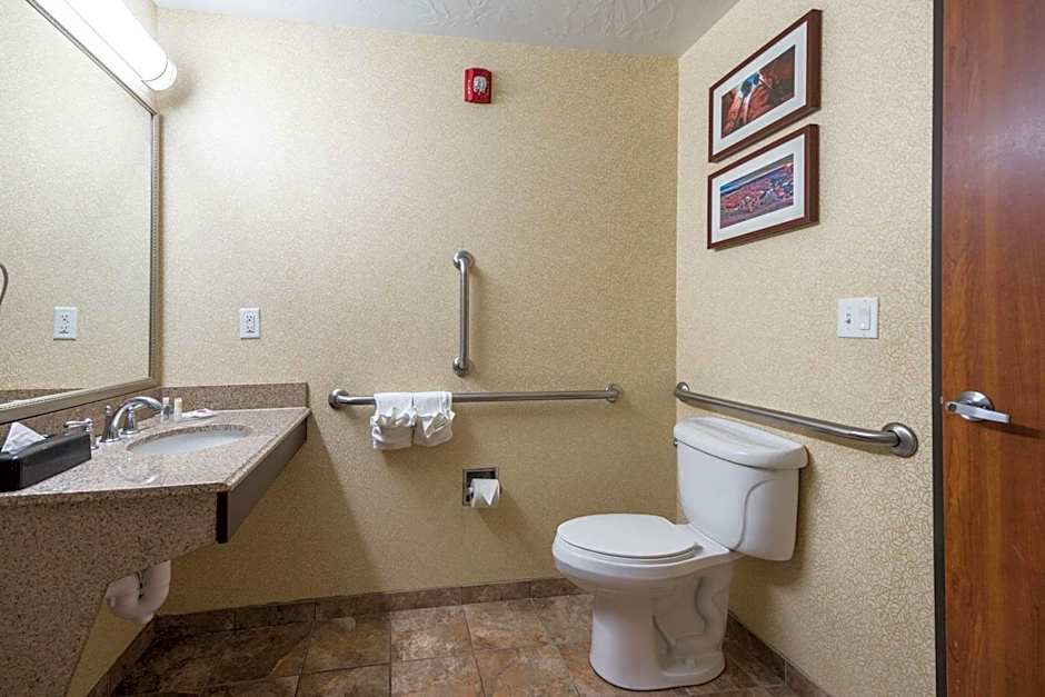 Comfort Inn And Suites Cedar City