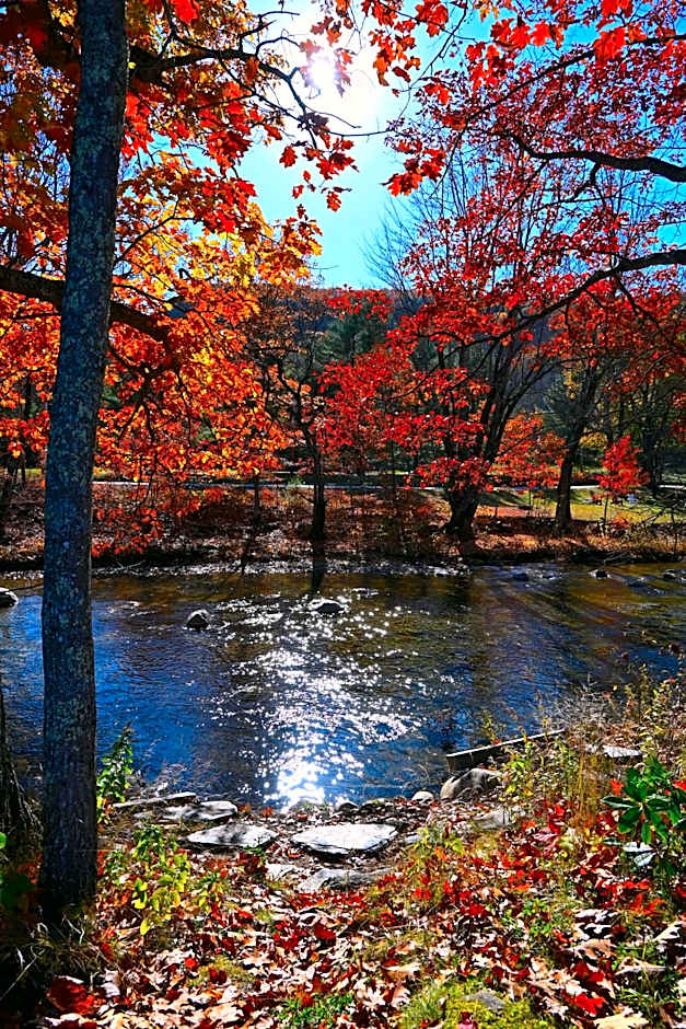 The Lodge at Jackson Village