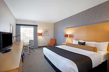 1 King Bed Non-Smoking