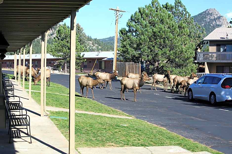 Quality Inn near Rocky Mountain National Park