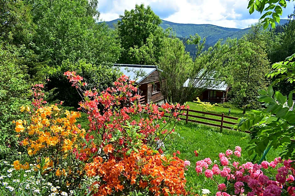 Beltine Forest Hotel