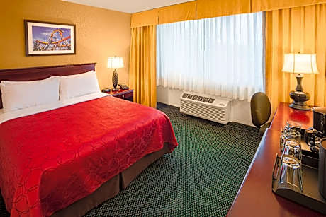 Queen Room