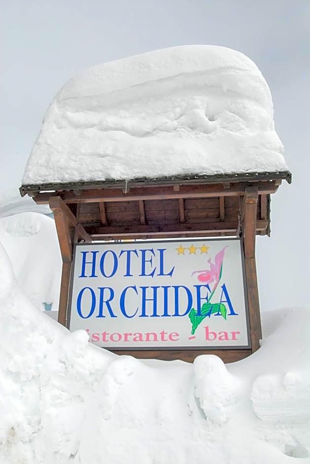 Hotel Orchidea