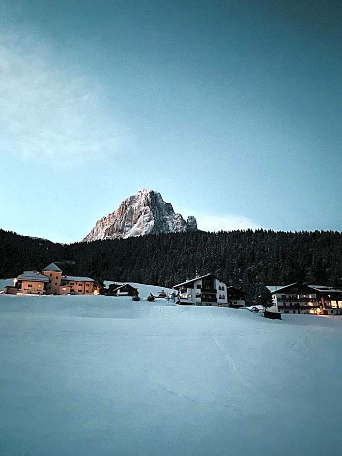 Mountain Chalet Pra Ronch