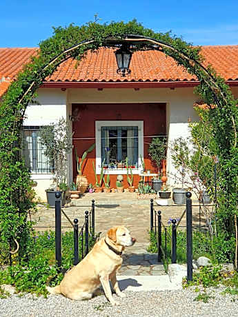 Helicon Muses Friendly Mountain B&B Guesthouse