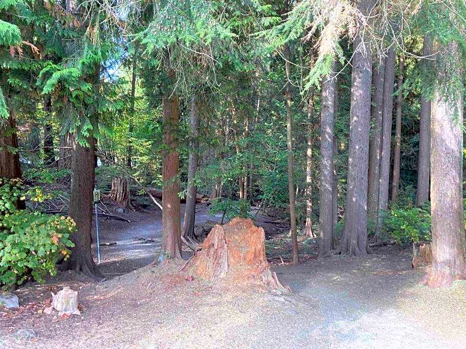 The Lions Self Contained Suite, Shared Pool, Hot Tub, Views