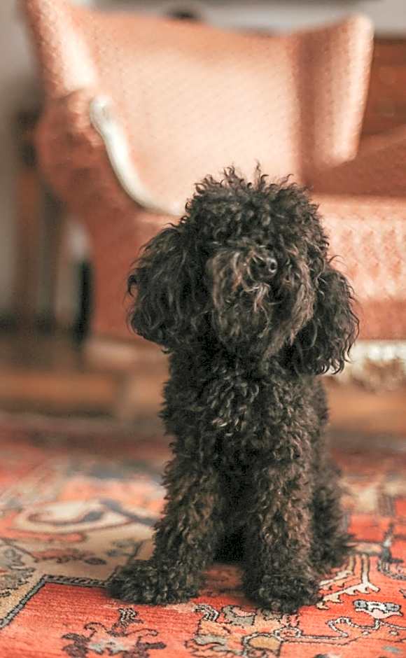 Promenade Hotel Liepaja