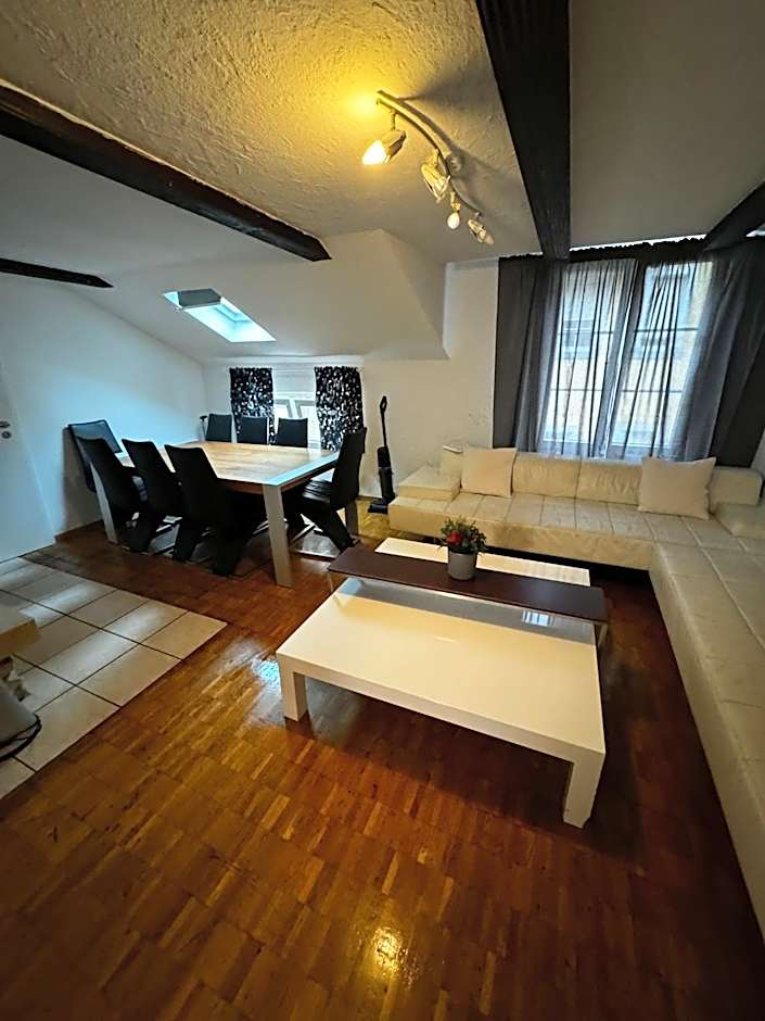 Rosa Apartment Zürich City