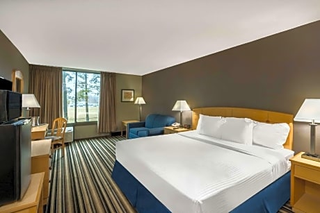 1 King Bed Superior Room Non-Smoking