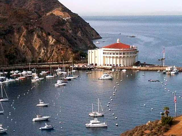 Catalina's Got Cart Condo