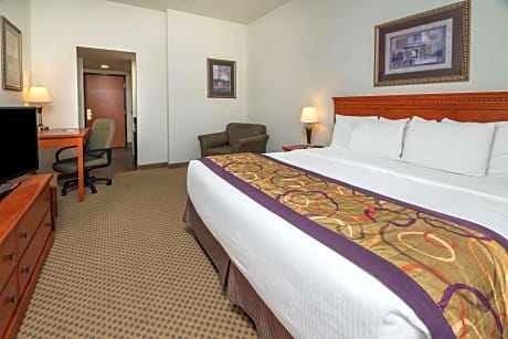 1 King Bed Deluxe Room Non-Smoking