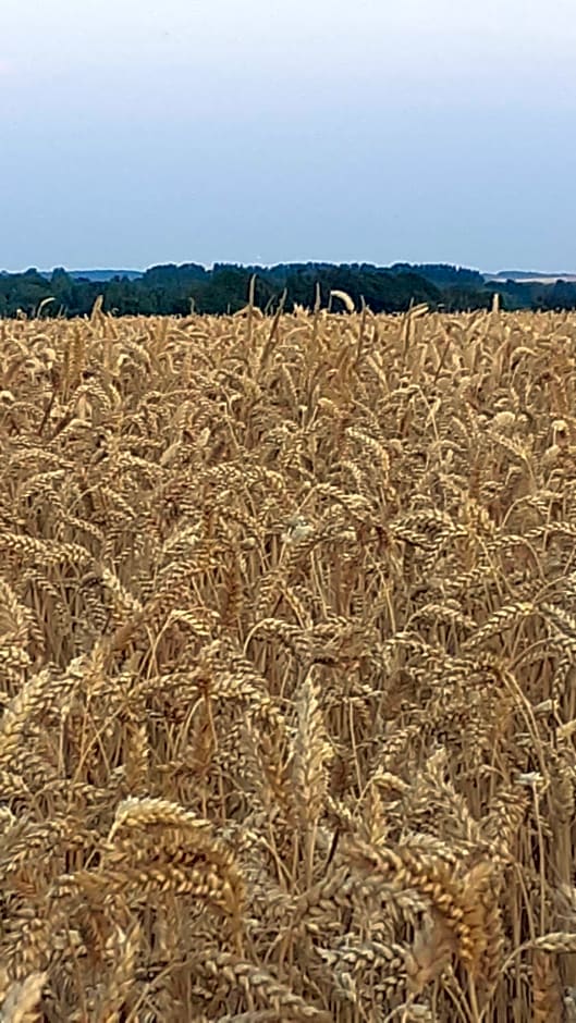 Chambres et Table d'Hôtes Les Trois Marquets