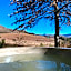 Sani Lodge & Cottages