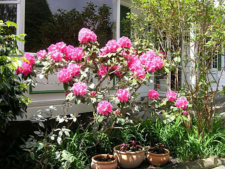 Bucket Tree Lodge