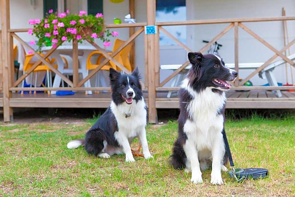 Vela Blu Camping Village