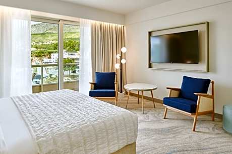 Premium Park View Room with King bed