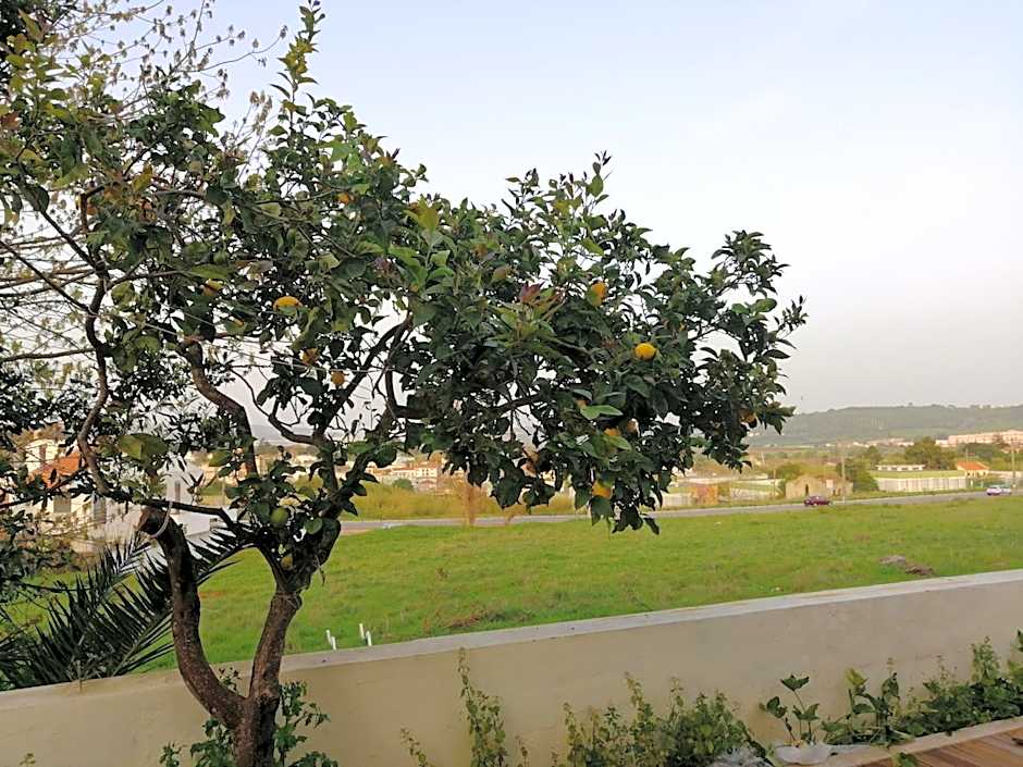 Plena Vita RESIDENCE