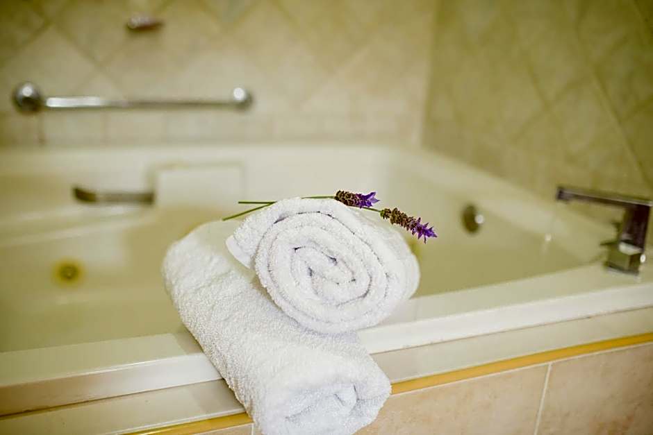 Gran Misiones Tequisquiapan